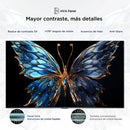 Televisor TCL 65V6C | 65" | 4K | Google TV | HDMI | USB | Wi-Fi | Bluetooth