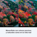 Sony BRAVIA 8 | 55" | OLED | 4K | Google TV | HDMI | USB | Wi-Fi | Bluetooth