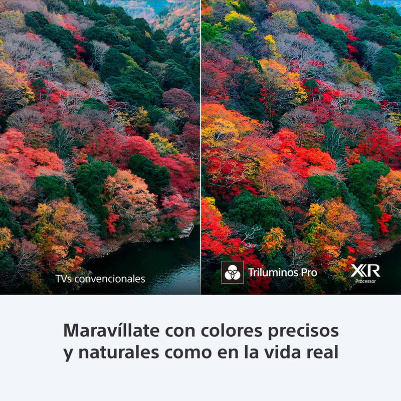 Sony BRAVIA 8 | 55" | OLED | 4K | Google TV | HDMI | USB | Wi-Fi | Bluetooth